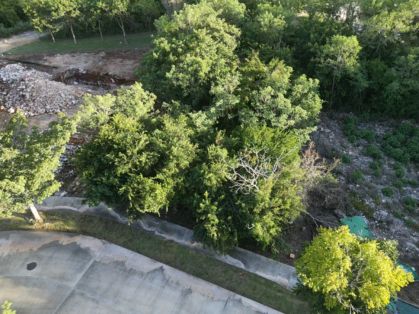 land en venta en Mérida, Cabo Norte