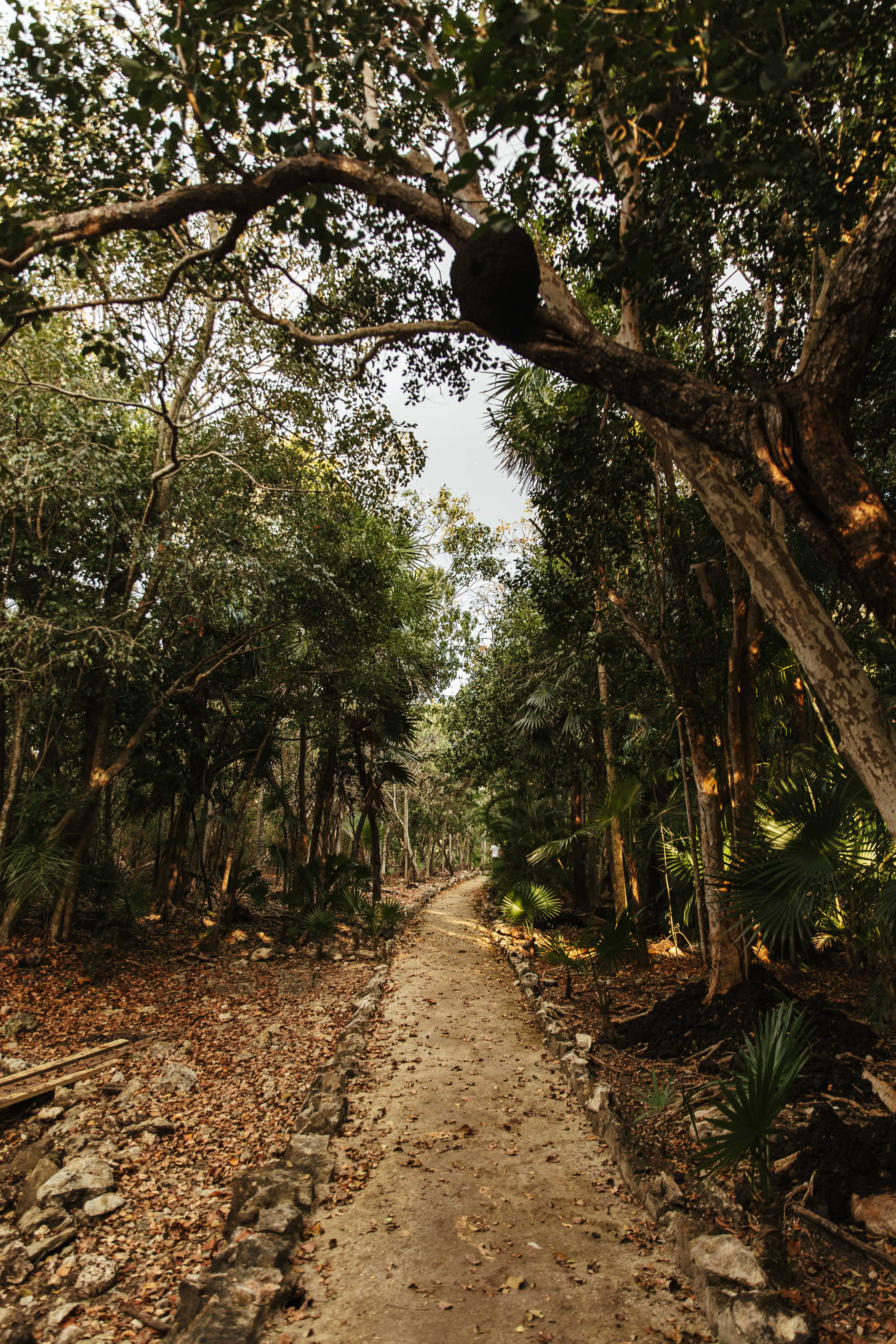 terreno en venta en Tulum, Akumal, Tulum, Quintana Roo