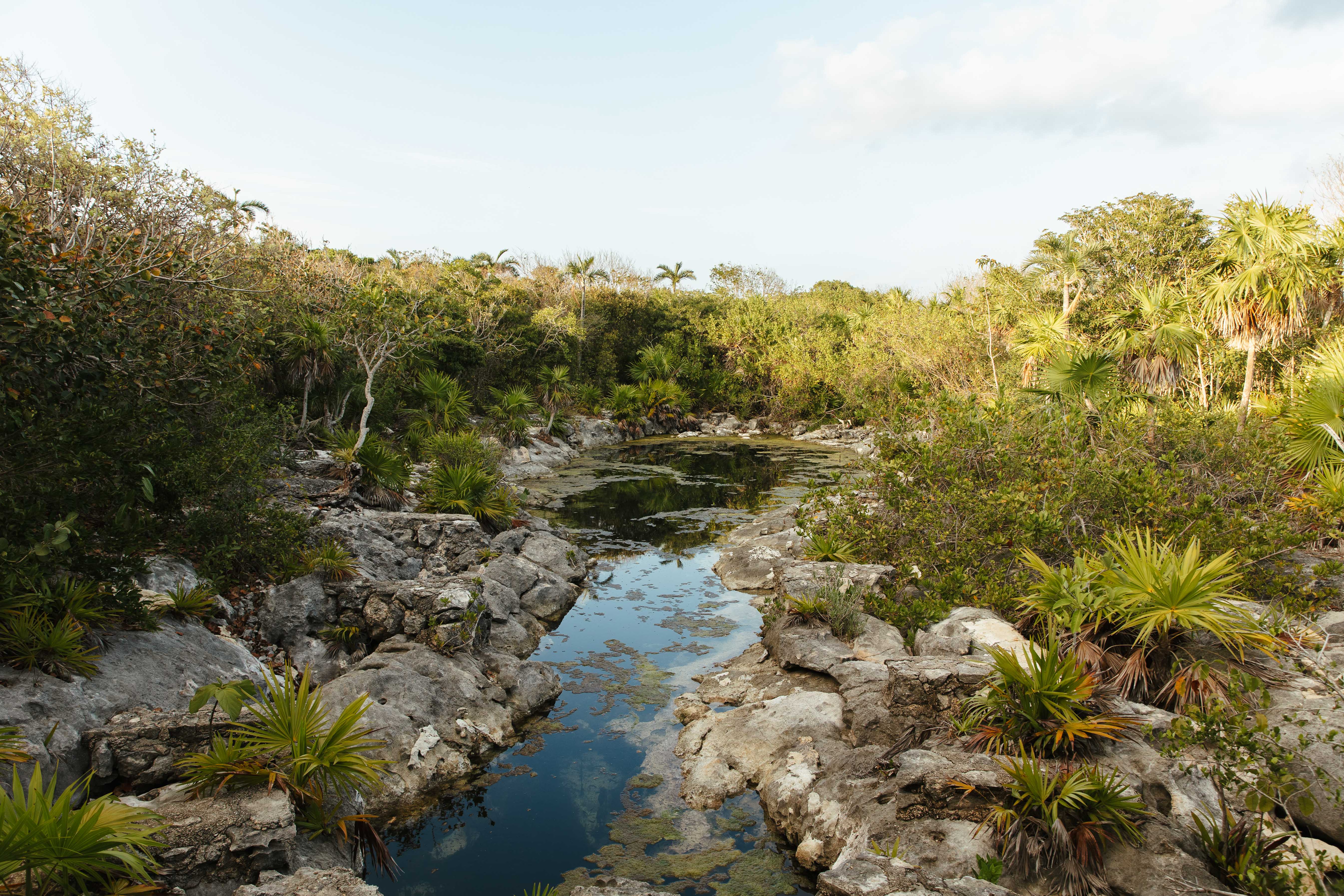 terreno en venta en Tulum, Akumal, Tulum, Quintana Roo