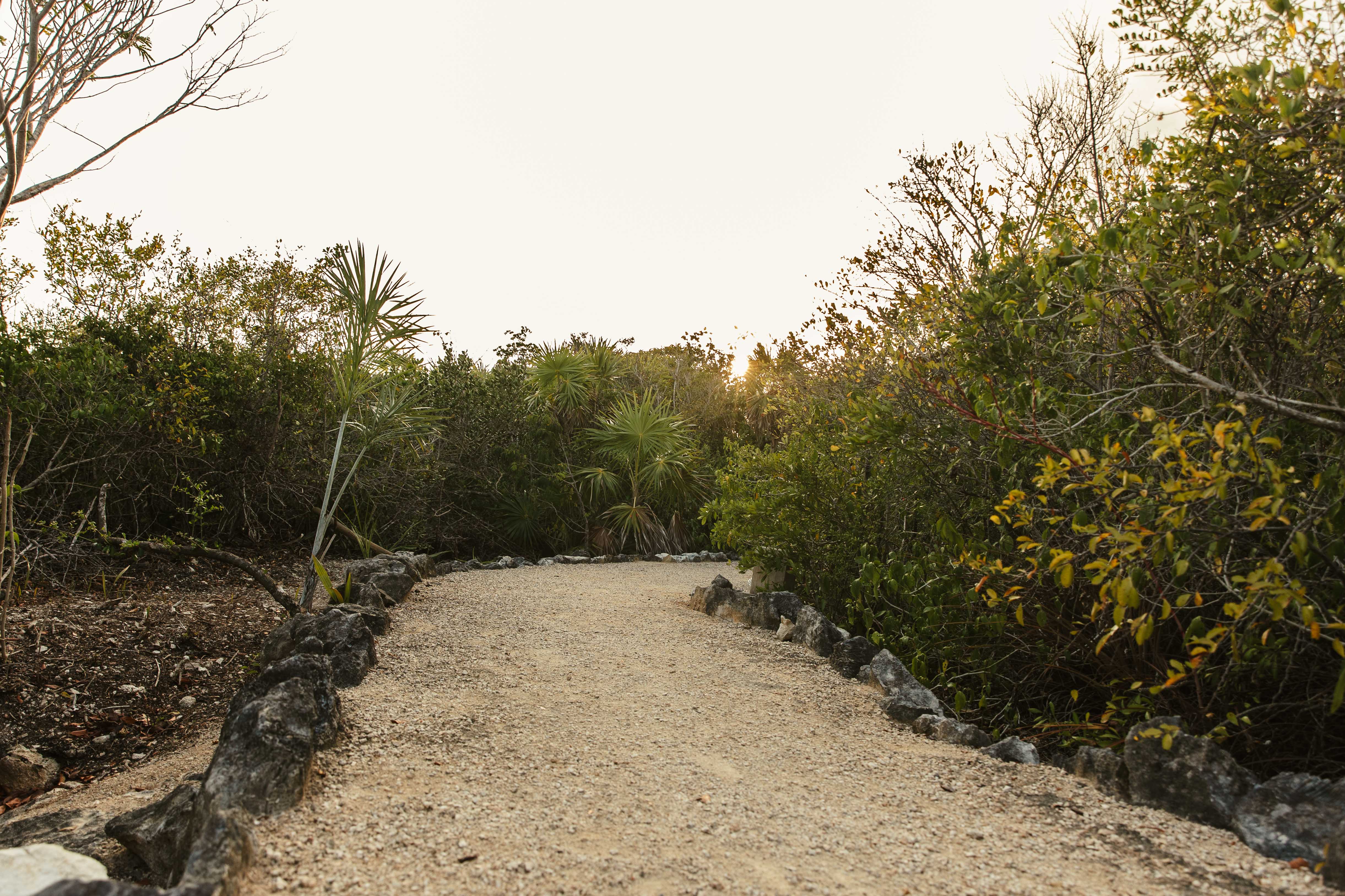terreno en venta en Tulum, Akumal, Tulum, Quintana Roo