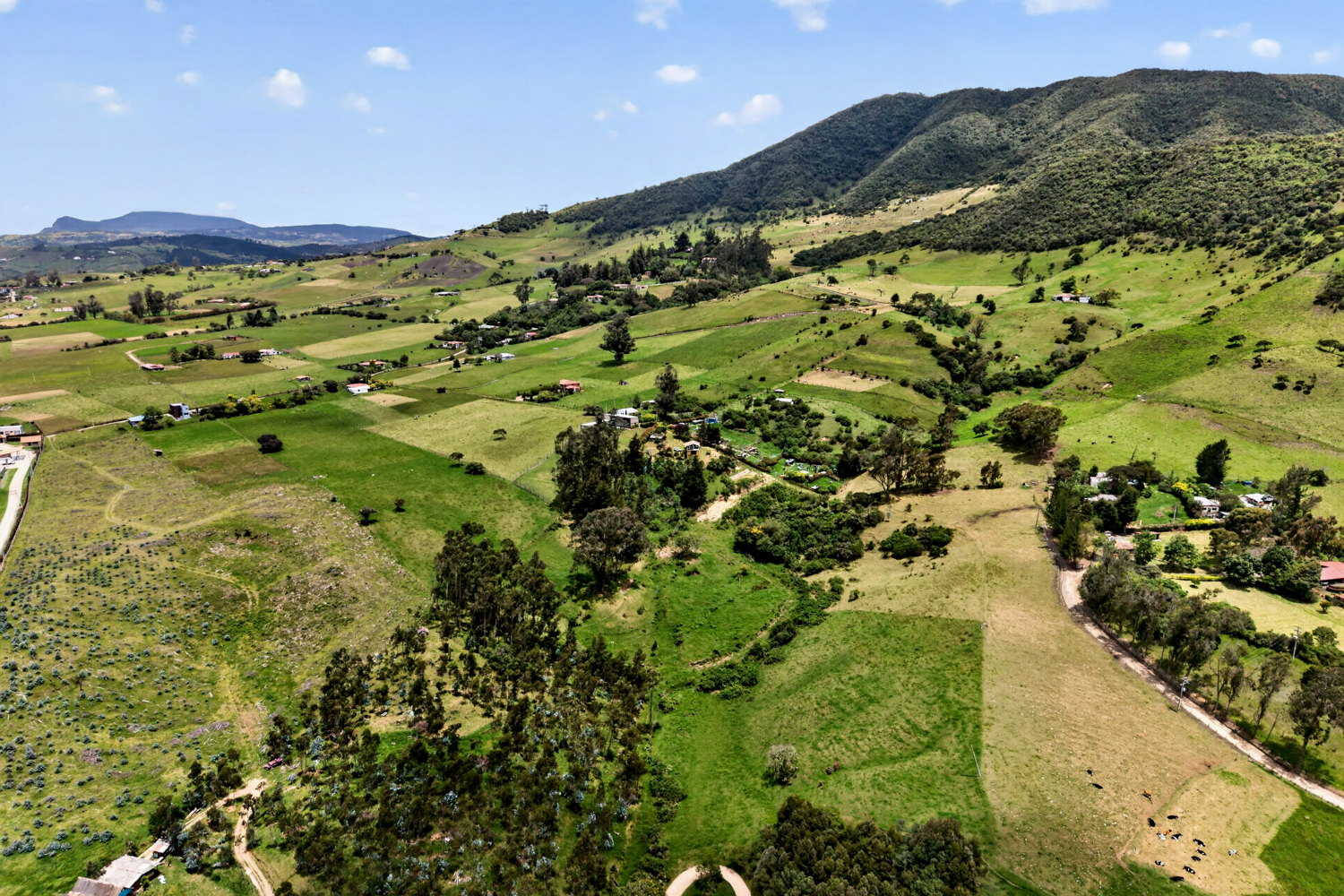 land for sale in la Calera, Lote el Cerezo, Vereda San Jose del Triunfo, 83797 m²