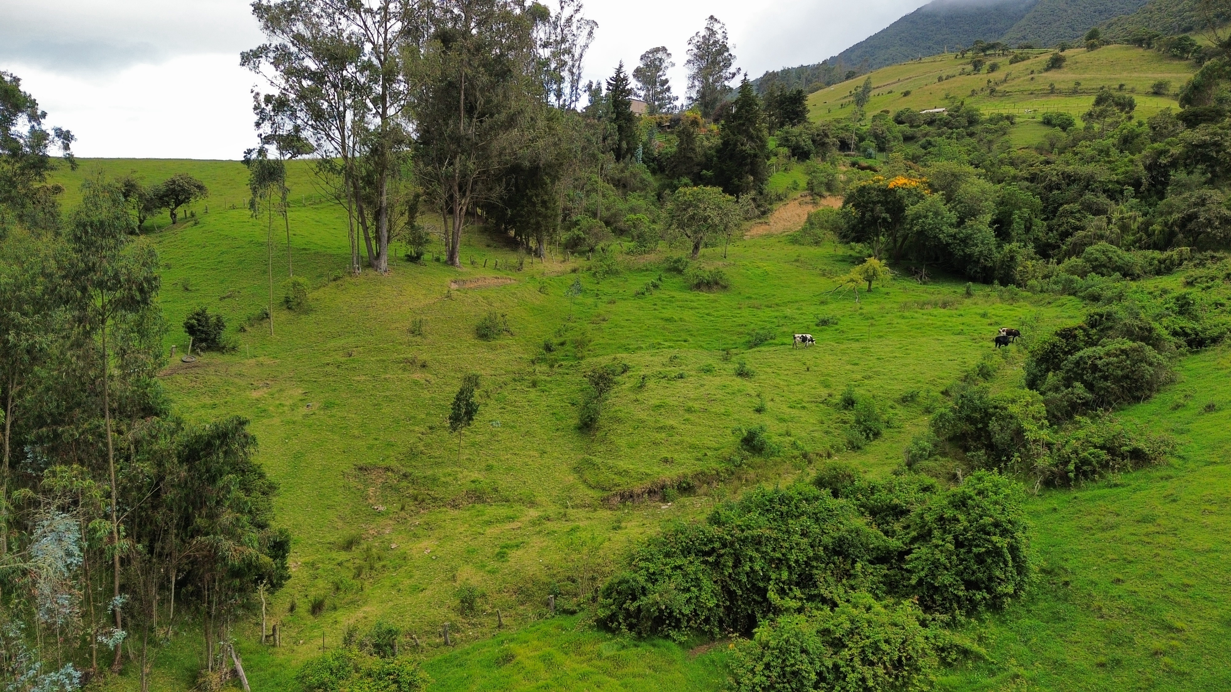 land for sale in la Calera, Lote el Cerezo, Vereda San Jose del Triunfo, 83797 m²
