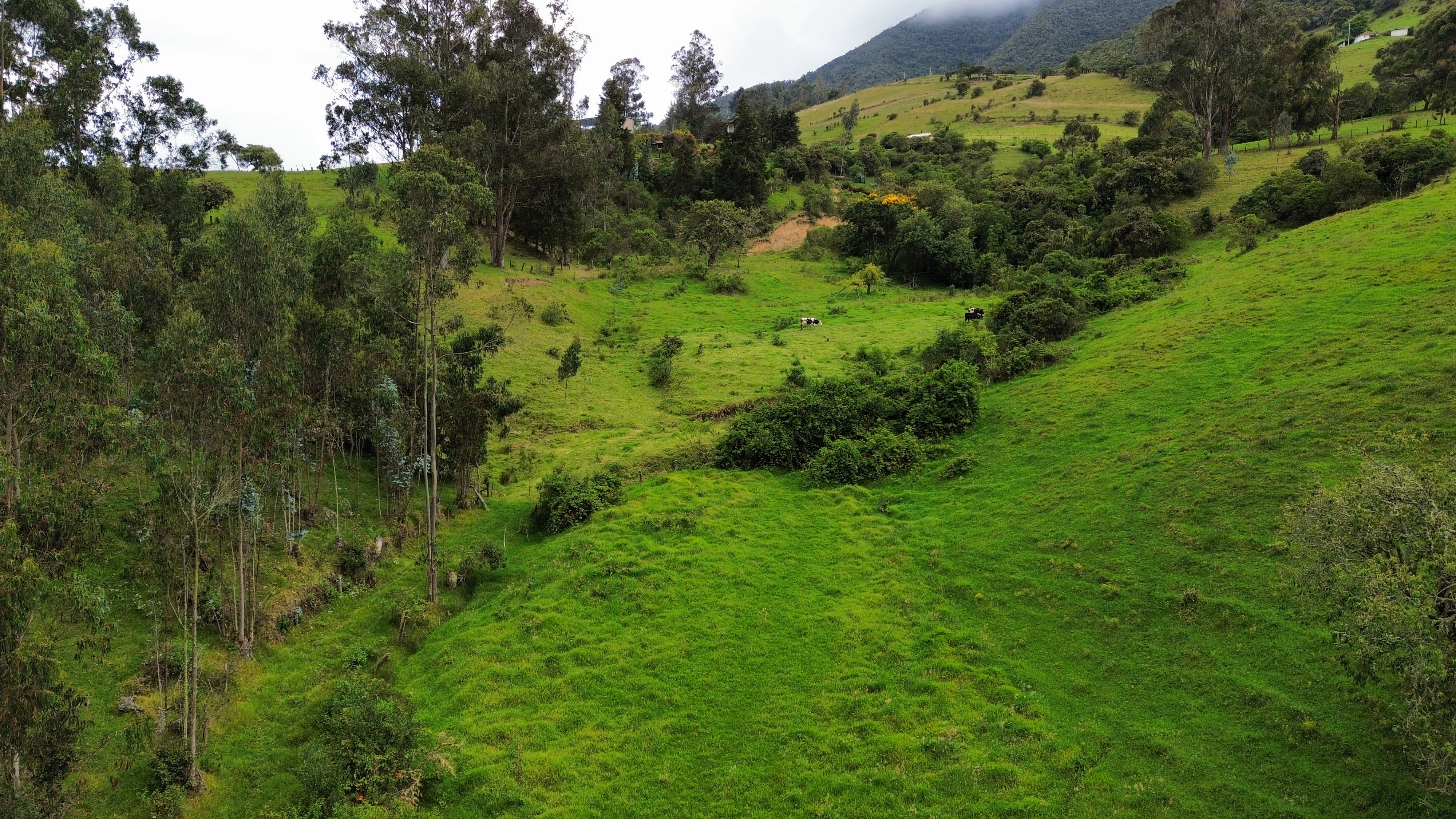 land for sale in la Calera, Lote el Cerezo, Vereda San Jose del Triunfo, 83797 m²